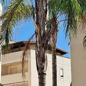 Appartamento Un Di Casa